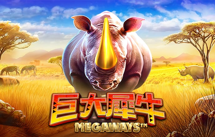 biwin体育
